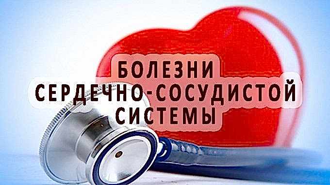 болезни сердечно-сосудистой системы