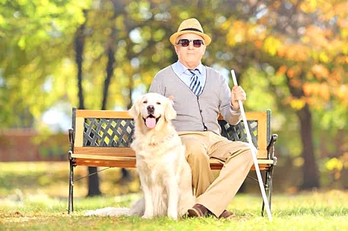 уход за слепыми